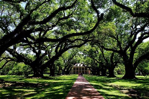 Things to Do in New Orleans: Oak Alley Plantation Tour | Solitary Wanderer