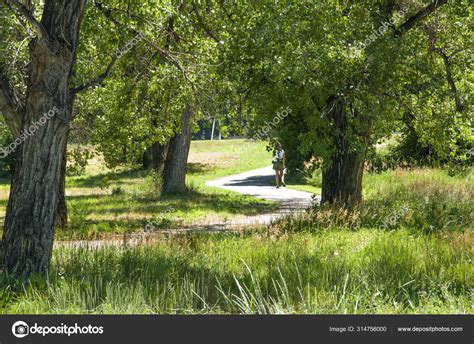 A bike and walking trail though a park — Stock Photo © rcarner #314756000