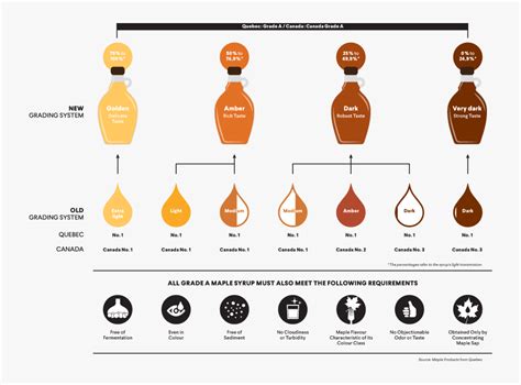 Maple Syrup Production Process , Free Transparent Clipart - ClipartKey