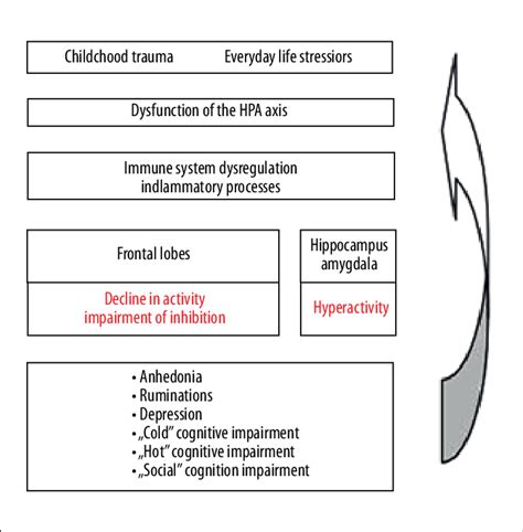 Biopsychosocial etiology of depression. | Download Scientific Diagram