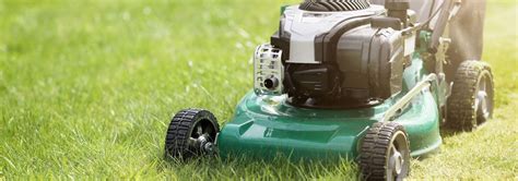 5 Best Gas Lawn Mowers - Dec. 2024 - BestReviews