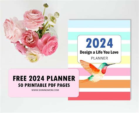 Planner 2024 Para Imprimir E - Evvy Oralia