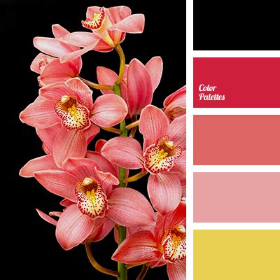 Color Palette #2070 | Color Palette Ideas