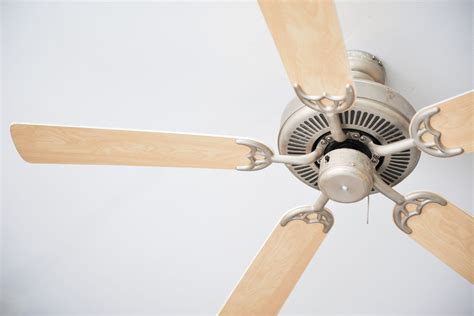 Types Of Ceiling Fans Available | Shelly Lighting