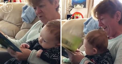 Viral Sensation: Grandma’s Riotous Reading of ‘The Wonky Donkey - WWJD