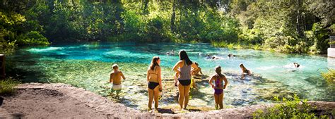 HOME - Ichetucknee Springs