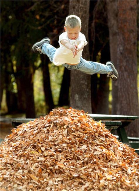 Kid jumping into pile of leaves | Master Coaches