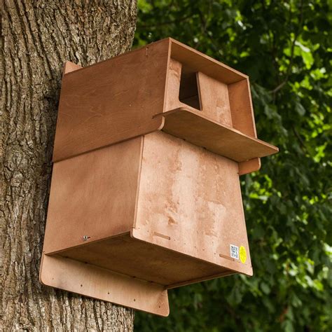 Barn Owl Nest Box | The Nestbox Company