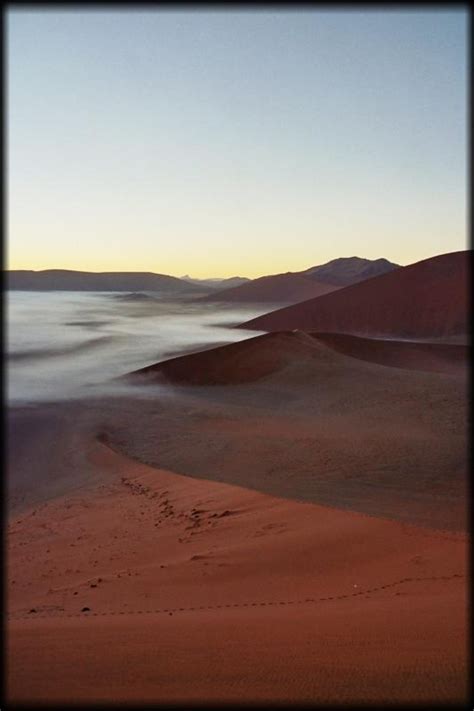 Pictures of Namibia: We watched the sunrise over Dune 45 in the Namib Desert. It was a truly ...