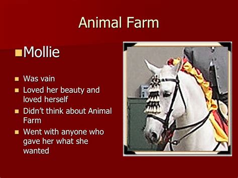 😝 Mollie animal farm. Benjamin in Animal Farm: Character, Allegory & Analysis. 2022-10-15