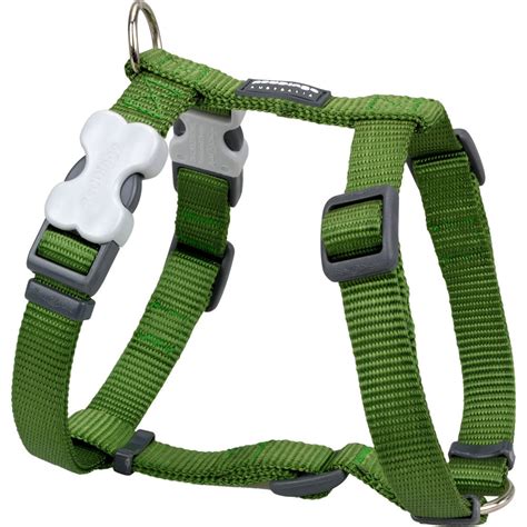 Red Dingo Classic Dog Harness - Green – PupLife Dog Supplies