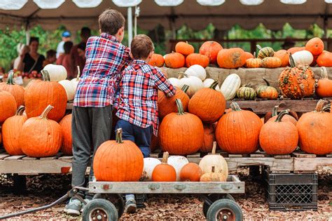 Here's The Best Fall Festival In Washington | iHeart