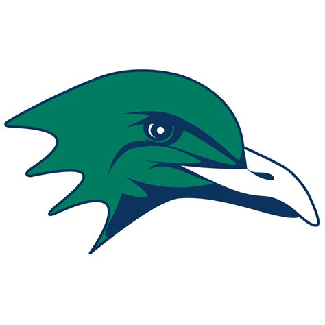 Endicott College Gulls Color Codes Hex, RGB, and CMYK - Team Color Codes