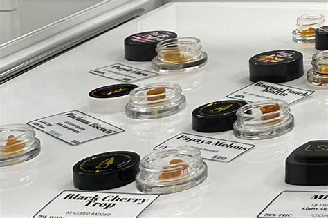 Types of Cannabis Concentrates: What Should You Shop For?