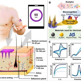 Basic requirements and potential strategies to improve microneedle ...