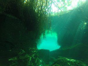 Casa Cenote Diving with Koox Diving | Complete Guide to the Cenote