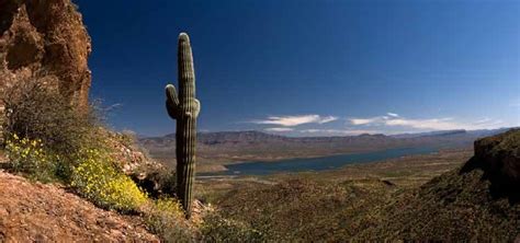 Environment of the Tonto Basin - Tonto National Monument (U.S. National ...