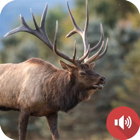 Elk Sounds - Apps on Google Play