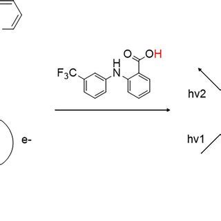 Proposed mechanism for fluorescence enhancement (probes 1 and 2 ...