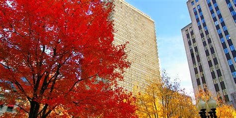 12 Best Places for Fall Foliage in Boston | Travel and Blossom