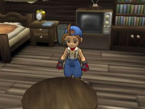 Harvest Moon: Save The Homeland (2001) by Victor Interactive for PS2