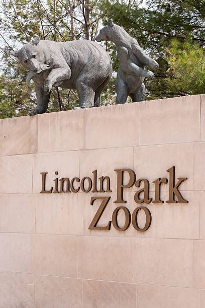 Best Lincoln Park Zoo Stock Photos, Pictures & Royalty-Free Images - iStock