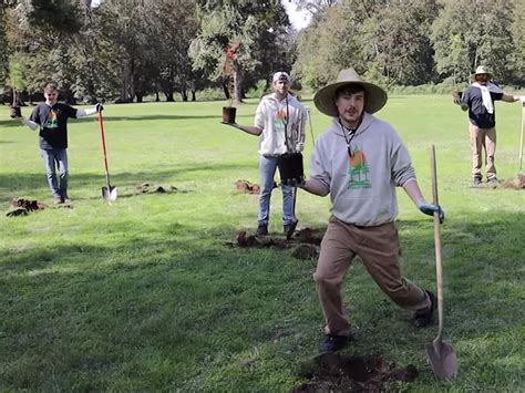 YouTuber MrBeast's tree-planting campaign hits $20 million goal early - Business Insider