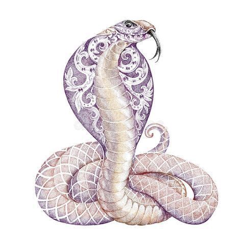 Tattoo Snake Cobra Art 55+ Best Ideas | Cobra tattoo, Cobra art, Snake art