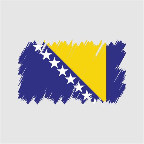 Bosnia Flag Brush Vector. National Flag 9437207 Vector Art at Vecteezy