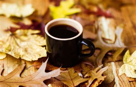 55 Fall Coffee Wallpapers - Cozy Autumn Aesthetic - 1302x2313 Wallpaper - teahub.io