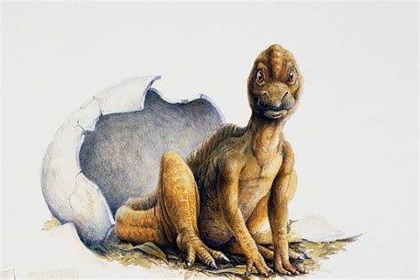 75-million-year old eggshells suggest most dinosaurs were warm-blooded ...