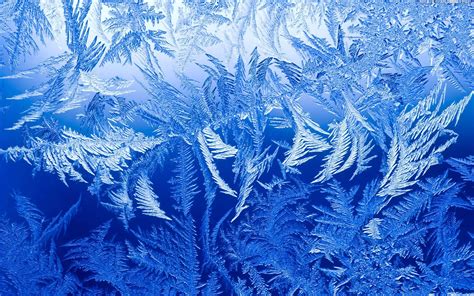 Download A Blue Background With Ice Crystals On It | Wallpapers.com