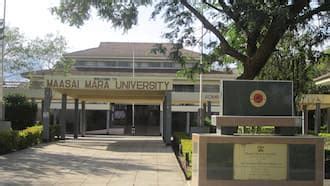 Kiambu Institute of Science and Technology courses, fees & application Tuko.co.ke