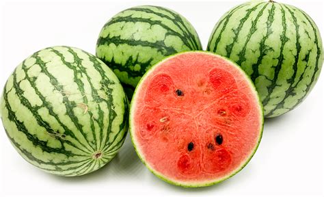 Miniature Watermelon Information and Facts