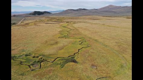 Arctic Grayling Habitat Restoration in Montana, Stream Restoration on ...