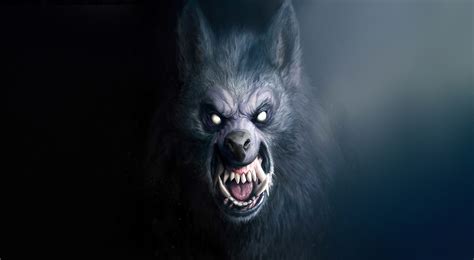 Werewolf Wallpaper 4k Hd