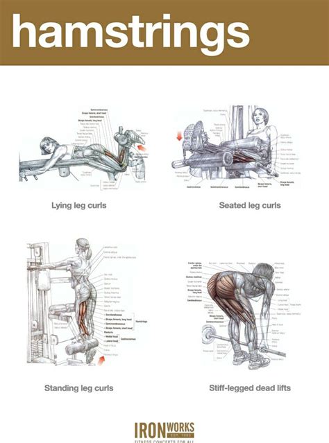 Pin by Jay Argle on New workout | Hamstring workout, Calf exercises ...