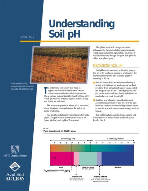 Understanding soil pH