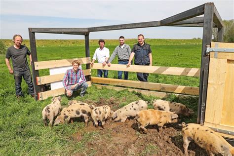 Pig tractor allows pig farming to travel through the countryside – Nature^Squared