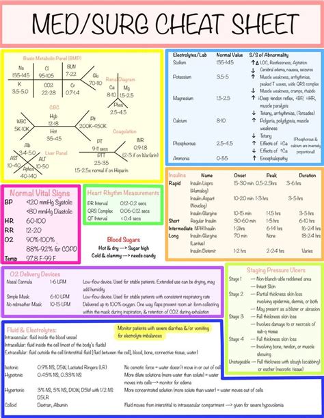 Nursing Student Planner - Custom 2021 to Custom 2022 - Monthly and Weekly View - PDF download ...