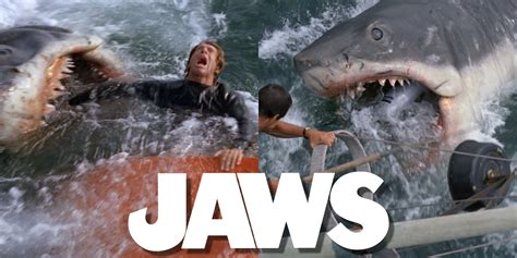 Jaws (1975): Every Death, Ranked Least-Most Gruesome