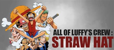 All of Luffy's crew : Straw Hat Pirates 10th Member