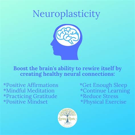 Neuroplasticity | Brain health, Neuroplasticity, Brain facts