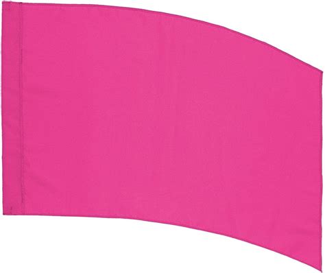 Amazon.com : 6' Silver Flag Pole and Color Guard Flag Package (Purple) : Patio, Lawn & Garden