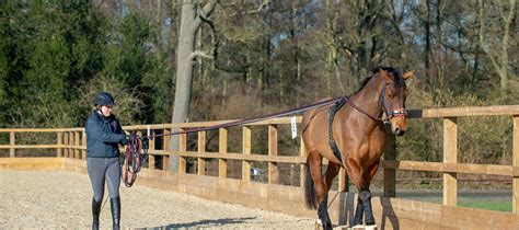 Training Horses (Lunge & Ride) – Dressage Pathway | The British Horse ...