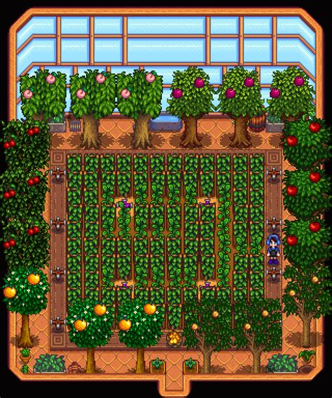 Stardew valley greenhouse layout - pacgulf