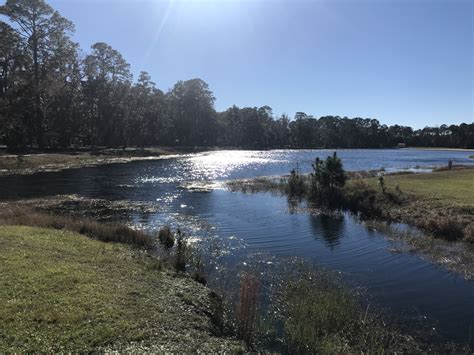 Blythe Island Regional Park, Brunswick Georgia - Sharing Horizons