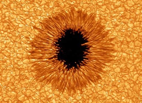 National Geographic | Space pictures, Sunspot, Solar telescope