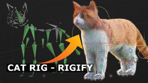 Tutorial: Rig A Cat | Blender Beginners - YouTube