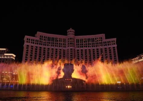 תיאור פסנתרן חווה חקלאית las vegas fountain הסרה נשאר אמולציה